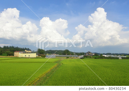 2020年夏季從福島站到東北本線新白川站的火車窗外風景 2020年夏季從福島站到東北本線新白川站的火車窗外風景 80430234