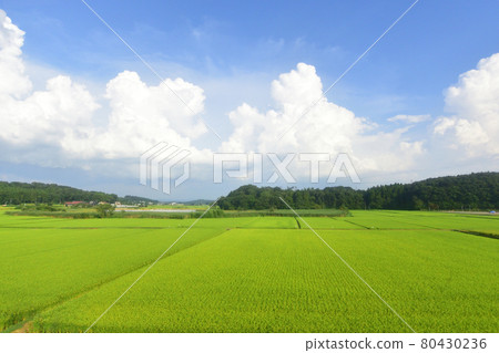 Scenery from the train window from Fukushima Station to Shin-Shirakawa Station on the Tohoku Main Line in the summer of 2020 Scenery from the train window from Fukushima Station to Shin-Shirakawa Station on the Tohoku Main Line in the summer of 2020 80430236