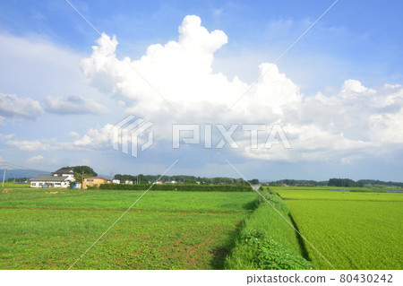 2020年夏季從福島站到東北本線新白川站的火車窗外風景 80430242