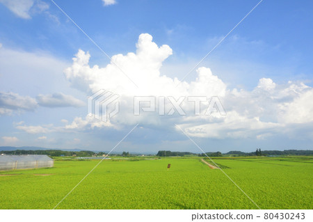 2020年夏季從福島站到東北本線新白川站的火車窗外風景 80430243