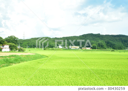 Scenery from the train window on the JR East Tohoku Main Line, from Fukushima Station to Shin-Shirakawa Station (Summer 2020) Scenery from the train window on the JR East Tohoku Main Line, from Fukushima Station to Shin-Shirakawa Station (Summer 2020) 80430259