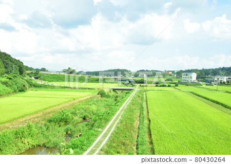 2020年夏季從福島站到東北本線新白川站的火車窗外風景 2020年夏季從福島站到東北本線新白川站的火車窗外風景 80430264
