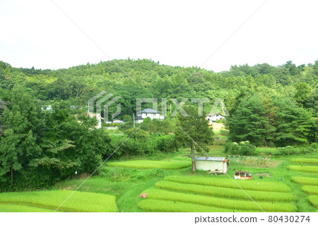 2020年夏季從福島站到東北本線新白川站的火車窗外風景 2020年夏季從福島站到東北本線新白川站的火車窗外風景 80430274