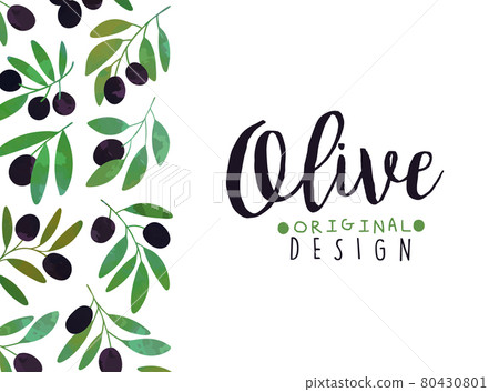 Promo Card with Olive Branch as Organic Product Vector Template 80430801