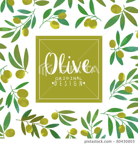 Promo Card with Olive Branch as Organic Product Vector Template 80430803
