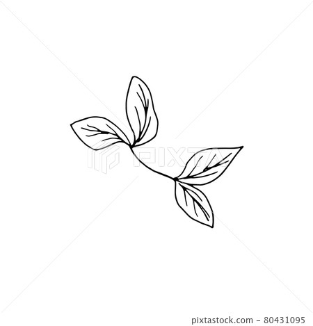 dried flowers, dry grass on a white background,Hand drawn engraving illustration, minimalism style. Ikebana. dried flowers, dry grass on a white background,Hand drawn engraving illustration, minimalism style. Ikebana. 80431095