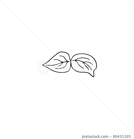 dried flowers, dry grass on a white background,Hand drawn engraving illustration, minimalism style. Ikebana. dried flowers, dry grass on a white background,Hand drawn engraving illustration, minimalism style. Ikebana. 80431105