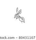 dried flowers, dry grass on a white background,Hand drawn engraving illustration, minimalism style. Ikebana. 80431107