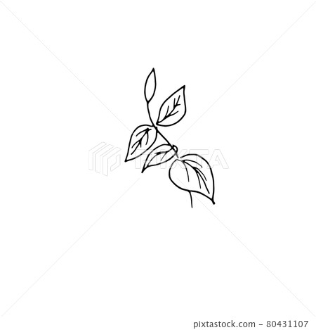 dried flowers, dry grass on a white background,Hand drawn engraving illustration, minimalism style. Ikebana. dried flowers, dry grass on a white background,Hand drawn engraving illustration, minimalism style. Ikebana. 80431107