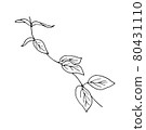 dried flowers, dry grass on a white background,Hand drawn engraving illustration, minimalism style. Ikebana. 80431110