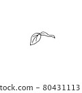 dried flowers, dry grass on a white background,Hand drawn engraving illustration, minimalism style. Ikebana. 80431113