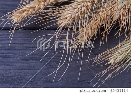 Close-up ears wheat barley or rye on black background. 80431114