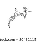 dried flowers, dry grass on a white background,Hand drawn engraving illustration, minimalism style. Ikebana. 80431115