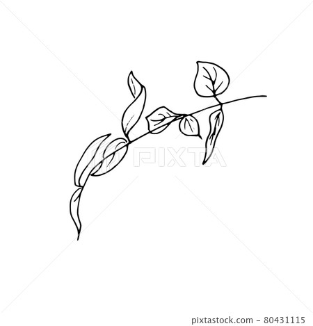 dried flowers, dry grass on a white background,Hand drawn engraving illustration, minimalism style. Ikebana. dried flowers, dry grass on a white background,Hand drawn engraving illustration, minimalism style. Ikebana. 80431115