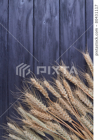 Wheat spikelets on black wooden backgrouond with copy space. 80431117