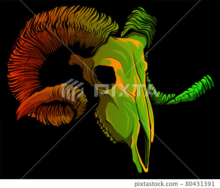 vector illustration of Skull goat on black background 80431391