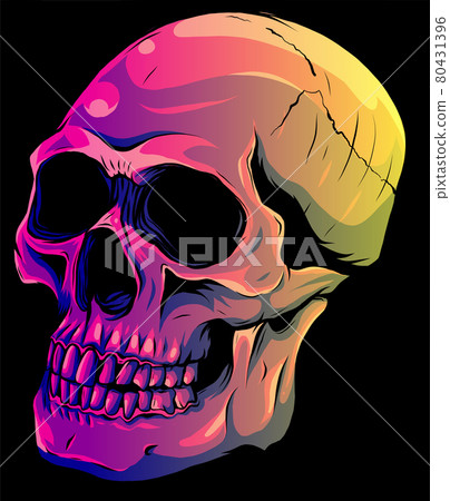 vector illustration of human skull on black background vector illustration of human skull on black background 80431396