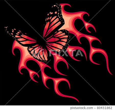 vector Illustration of a butterfly with fire vector Illustration of a butterfly with fire 80431862