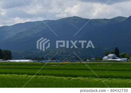 Summer countryside in front of the mountains below the clouds 80432730