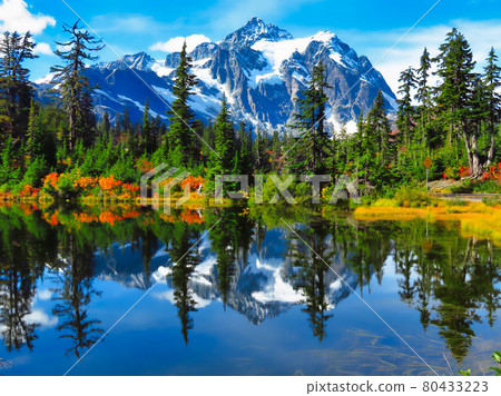 Beautiful green trees in front of a beautiful lake with snowy mountains Beautiful green trees in front of a beautiful lake with snowy mountains 80433223