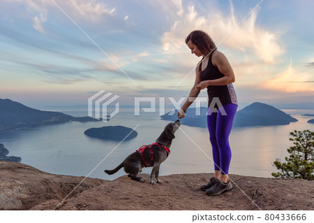 Woman hiking on top of a mountain with a dog 80433666