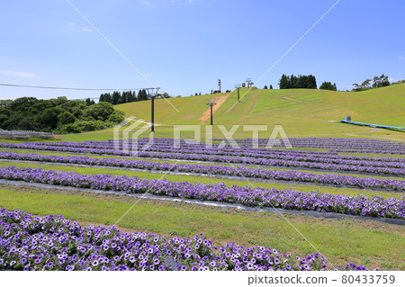 Biwako Hakodateyama Summer Event Biwako Hakodateyama Summer Event 80433759