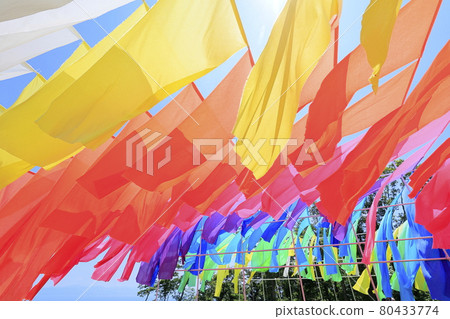 Biwako Hakodateyama Summer Event Biwako Hakodateyama Summer Event 80433774