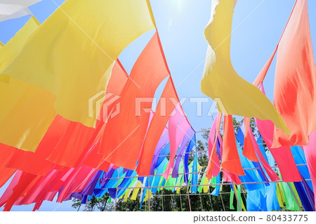 琵琶湖函館山夏季活動 80433775