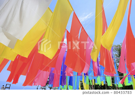 琵琶湖函館山夏季活動 80433783