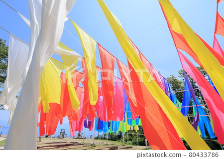 琵琶湖函館山夏季活動 80433786