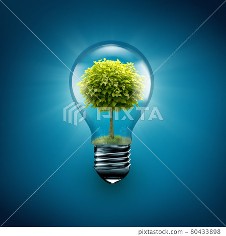 tree inside light bulb tree inside light bulb 80433898