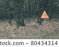 Red-yellow radiation sign on a lawn. Exclusion Zone. Chernobyl, Pripyat 80434314