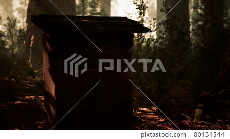 Old wooden beehive in forest in fog 80434544