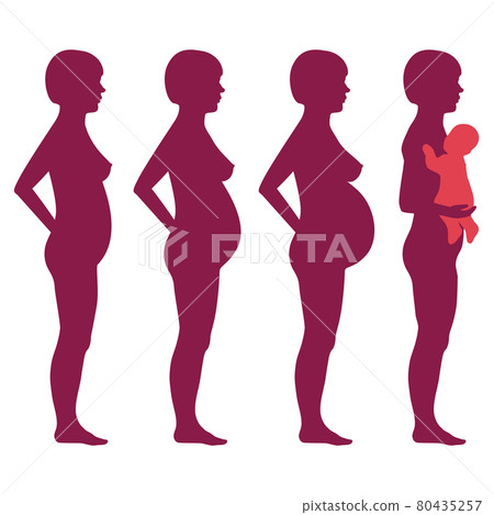 pregnancy stages 80435257