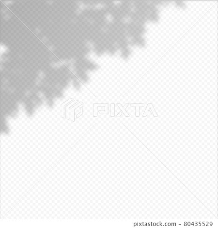 Realistic Vector transparent overlay blured shadow of branch leaves. Realistic Vector transparent overlay blured shadow of branch leaves. 80435529