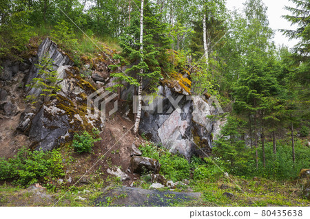 Karelian forest, summer landscape 80435638