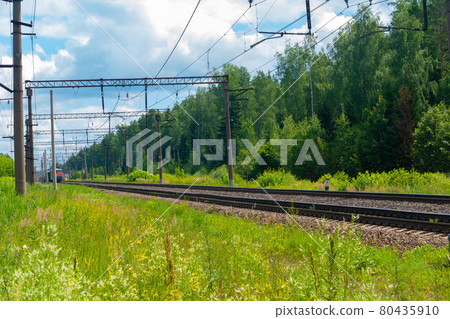 Green field of grass and flowers next to the railway Green field of grass and flowers next to the railway 80435910