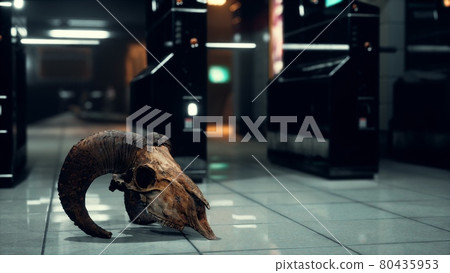 old ram skull in underground subway 80435953
