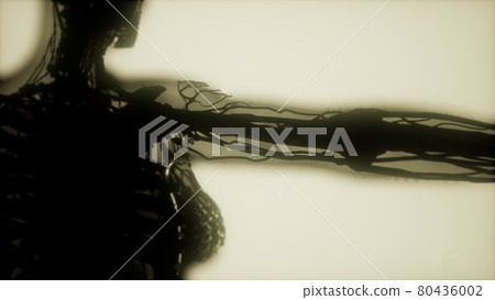 human skeleton bones scan glowing 80436002