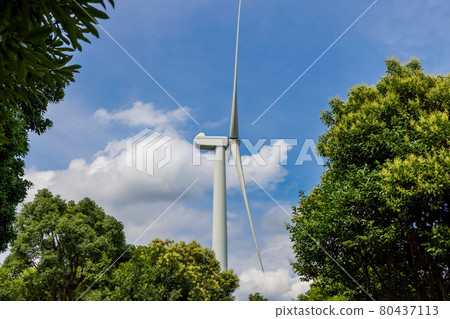 公園綠樹環繞的三葉風力發電機 80437113