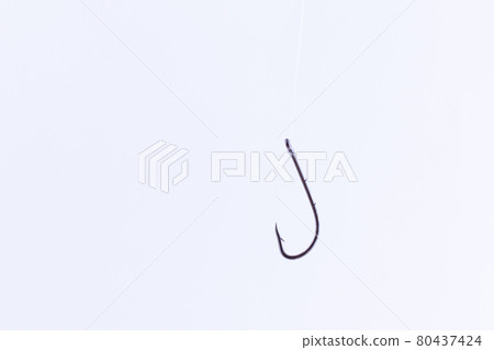 Black Fishing Hook Hanging on a Fishing Line Black Fishing Hook Hanging on a Fishing Line 80437424