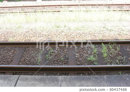 Summer track 80437486