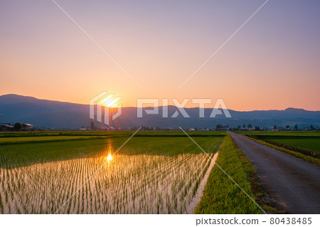 初夏的田園風光(黃昏) 初夏的田園風光(黃昏) 80438485