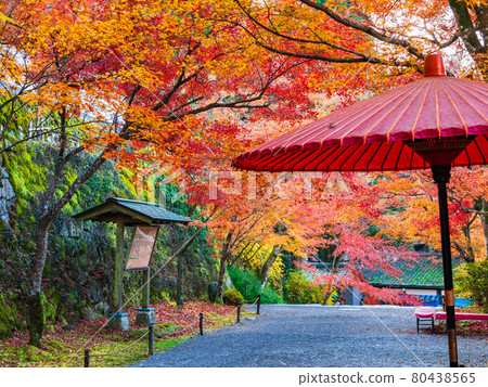 京都Sanzenjyu接近秋天 京都Sanzenjyu接近秋天 80438565