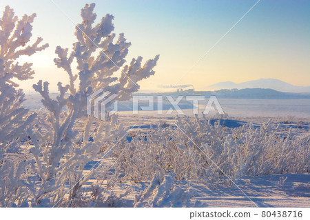 Frost in Anadyr and neighborhood. 80438716
