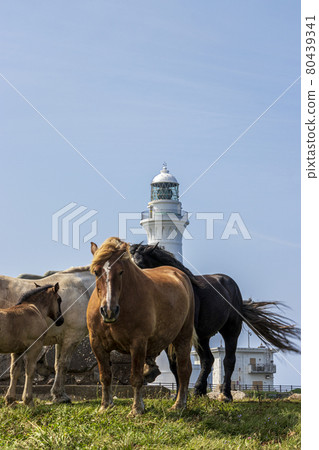 Aomori Shimokita Peninsula Kandachime and Shiriyazaki Lighthouse 1 Aomori Shimokita Peninsula Kandachime and Shiriyazaki Lighthouse 1 80439341