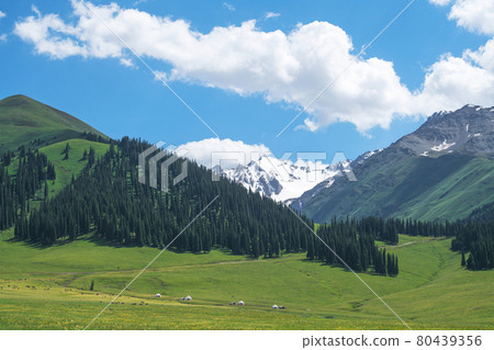 Nalati grassland with the blue sky. 80439356