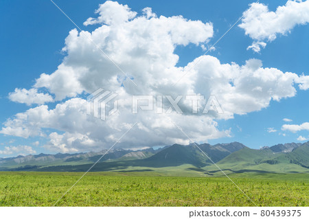 Nalati grassland with the blue sky. Nalati grassland with the blue sky. 80439375