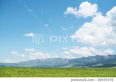 Nalati grassland with the blue sky. Nalati grassland with the blue sky. 80439378