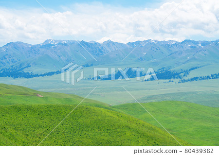 Nalati grassland with the blue sky. Nalati grassland with the blue sky. 80439382